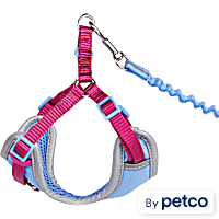 YOULY Reflective Utility Cat & Large Cat Harness & Leash Set