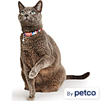 YOULY Rose Kitten & Cat Collar