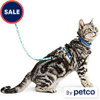 YOULY Space Kitten Harness & Leash Set