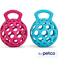 Leaps & Bounds Cage Ball with Handle Dog Toy