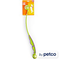 Leaps & Bounds Launcher Dog Toy