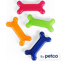 Leaps & Bounds Spiny Bone Assorted Medium Chew Toy for Dogs