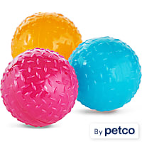 Leaps & Bounds Romp & Run Glow-In-The-Dark Bouncy Ball Dog Toy in Various Colors