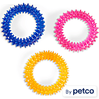 Leaps & Bounds Spiny Ring Assortment Dog Chew Toy