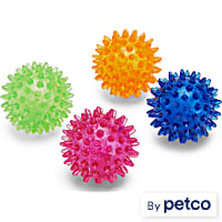 Leaps & Bounds Spiny Ball Assorted Dog Chew Toy