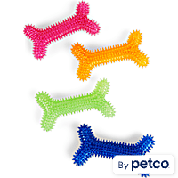 Leaps & Bounds Spiny Bone Assorted Chew Toy for Dogs