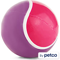 Leaps & Bounds Soft Tennis Ball Assorted Dog Toy