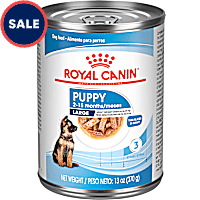 Royal Canin Size Health Nutrition Large Puppy Thin Slices in Gravy Dog Food