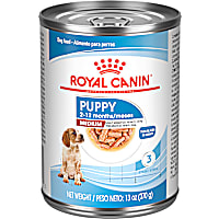 Royal Canin Size Health Nutrition Medium Puppy Thin Slices in Gravy Dog Food