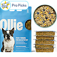Ollie Fresh Turkey Dish with Blueberries Fresh Frozen Dog Food