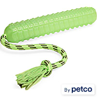 Leaps & Bounds Glow Bumper Dog Toy