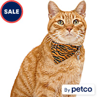 YOULY Slide-On Bandana Collar Accessory for Cats
