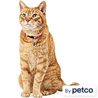 YOULY Metal Bells Cat Apparel