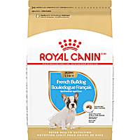 Royal Canin Breed Health Nutrition French Bulldog Puppy Dry Dog Food