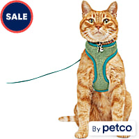 YOULY Updated Mesh Cat Harness & Leash Set