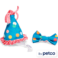 YOULY Birthday Cat Hat and Bowtie Set