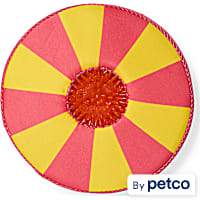 Leaps & Bounds Striped 2-in-1 Flyer Dog Toy