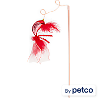 Leaps & Bounds Red Bird Cat Teaser Toy