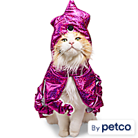 YOULY Squid Cat Costume Cape