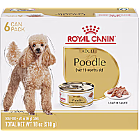 Royal Canin Breed Health Nutrition Poodle Adult Loaf in Sauce Dog Food