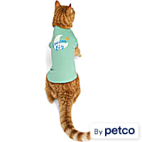 YOULY Dream Big Cat T-Shirt