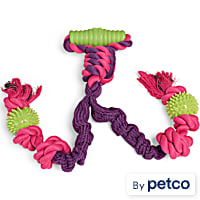 Leaps & Bounds Bungee Dual Rope with Handle Tug Dog Toy