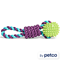 Leaps & Bounds Spiney Rope Chew & Tug Dog Toy