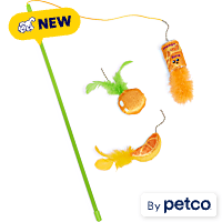 Leaps & Bounds Orange Teaser Cat Toy