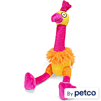 Leaps & Bounds Colorful Funky Bird Plush Dog Toy