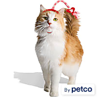 YOULY Valentine's Day Cat Headpiece