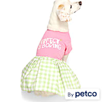 YOULY Perfect Is Boring Pet Dress