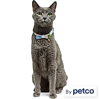 YOULY Easter Breakaway Cat Collar