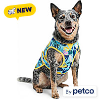 YOULY Cool-to-Touch Reversible Dog Vest