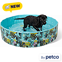 Leaps & Bounds Foldable Large Pool for Pets