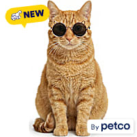 YOULY Summer Prop Cat Sunglasses