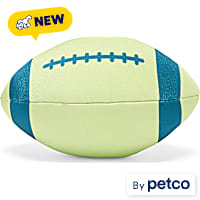 Leaps & Bounds Floating Football Dog Toy