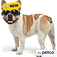 YOULY Dog Goggles Eyewear