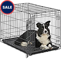 Midwest iCrate Single Door Folding Dog Crates