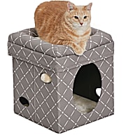 Midwest Curious Cube for Cat