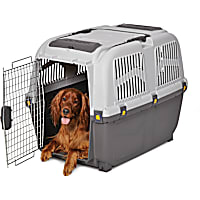 Midwest Skudo Plastic Travel Carrier for Dogs