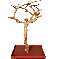 A&E Cage Company Small Java Wood Boxed Tree