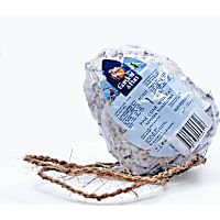 A&E Cage Company Garden & Fun Suet Pine Cone