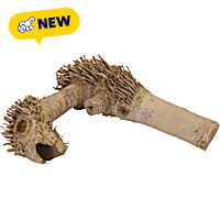 A&E Cage Company Spider Root