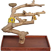 A&E Cage Company Table Top Java Tree Stand