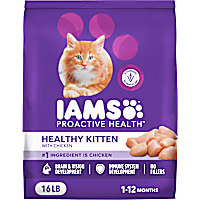 IAMS ProActive Health Healthy Kitten Dry Cat Food with Chicken Cat Kibble