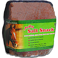 Horsemen's Pride Salt Brick Horse Treats