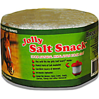 Horsemen's Pride Stall Snack Refill Salt Horse Treats