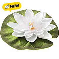 Blagdon Aquagarden White Floating Water Lily Single