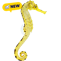 ORA Tigertail Seahorse