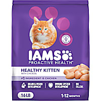 IAMS ProActive Health Healthy Kitten Dry Cat Food with Chicken Cat Kibble
